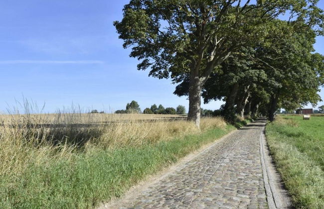 Idyllic Holiday Home in Damshagen With Terrace - Foto 73