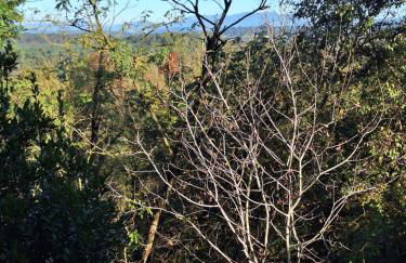 The One Malpensa Rooms - Foto 9