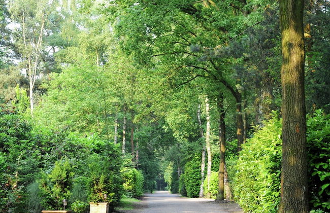 Chalet in Parc de Kievit With Private Garden - Foto 18