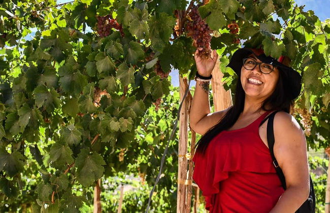 Alto Elqui Pisco Tour - Photo 1