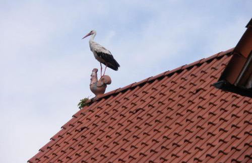 Ferienhaus Kamerun an der Elbe - Foto 24