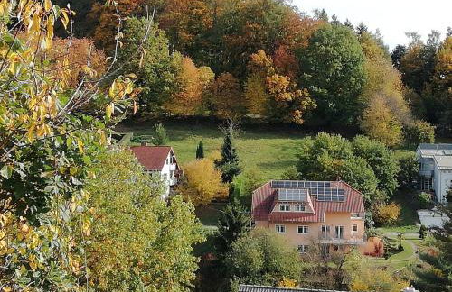 Gorxheimertal 92qm Allergikerfreundlich 2 Schlafzimmer 2 WC Terrasse - Foto 4