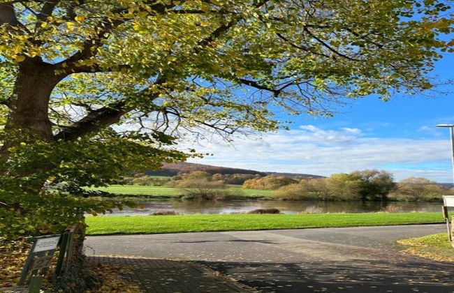 Bungalow im Feriendorf Uslar mit Gartenterrasse - Foto 31