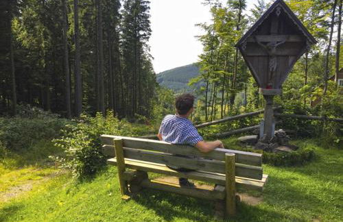 Haus Astenblick in Winterberg für bis zu 35 Personen für Wanderveranstaltungen und Familienfeiern - Foto 21