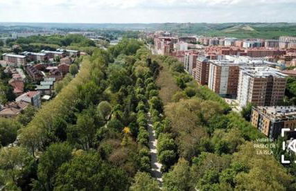 Apartamentos María Luisa - Foto 47