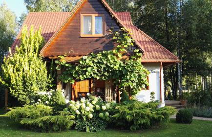 Siedlisko Gruszki Puszcza Białowieska - Foto 40