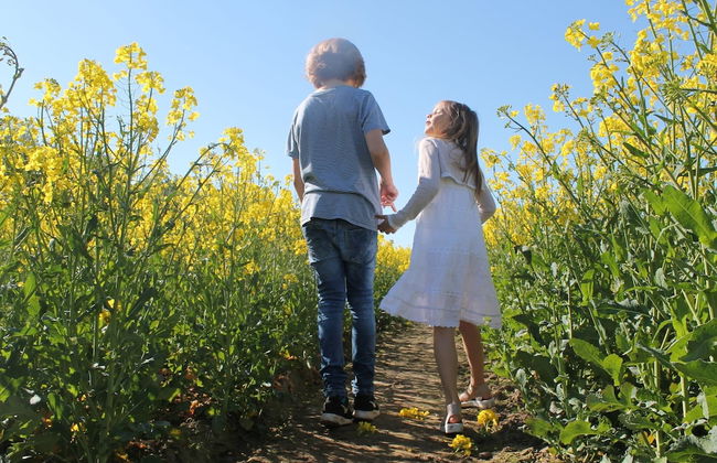 Cozy Apartment in Barnekow With Private Terrace - Photo 73