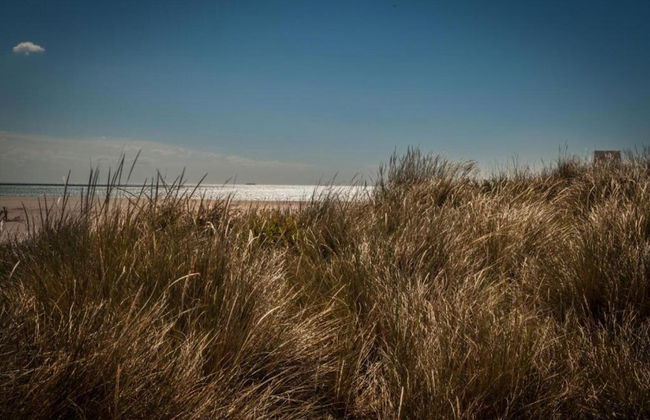 Cozy Coastal Home w/ Terrace - Foto 17