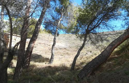 Casa Blanca - Photo 56