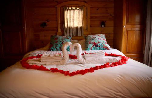 Mas Du Pont Rouge - Foto 58