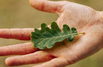 La Ghiandaia Farmhouse - Photo 40
