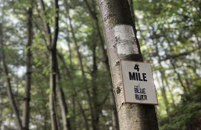 Blue Mountain Resort - Foto 18