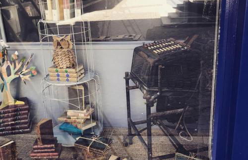 Le Bouquiniste, centre historique, fibre, ESS, rez-de-chaussée, BedinShop - Foto 10