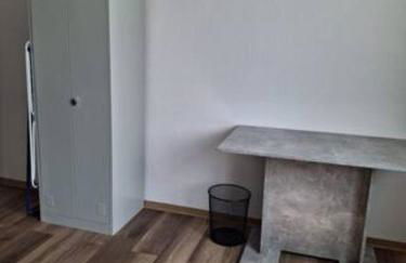 Schöne Vollausgestattete Monteurs- Gästewohnung nähe Raffinerie Leuna und Geiseltalsee für 4 Personen 0303 - Foto 12