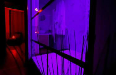 Loveroom Gîte de charme L'Amour en Brenne - Foto 8