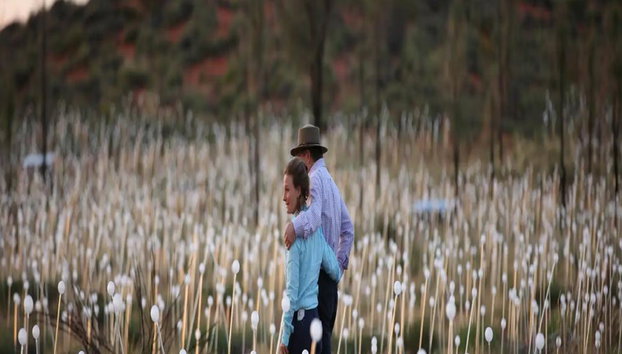 Uluru Sonnenaufgang und Field of Light – Tour in kleiner Gruppe - Foto 5