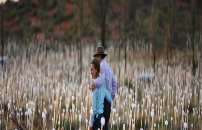Uluru Sonnenaufgang und Field of Light – Tour in kleiner Gruppe - Foto 5