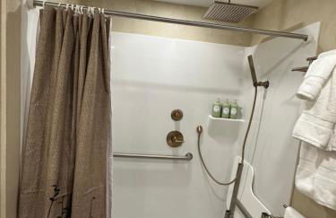 Deluxe vc home 3 bd/2bath, whealchair accessible - Foto 26