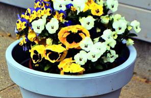 Domek nad jeziorem, a morze w gratisie - Foto 12