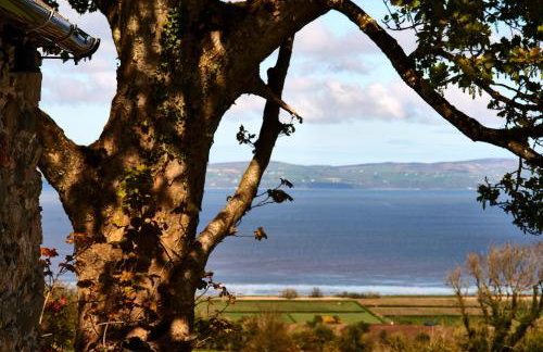 Glebe Barn and Cottage - Photo 2