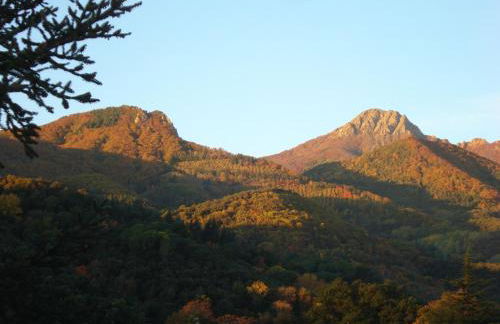 CasasMontseny - Foto 12