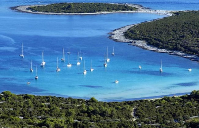 Apartment Ana - Zaglav Dugi Otok - Foto 17