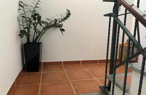 Bird’s Home - Foto 50