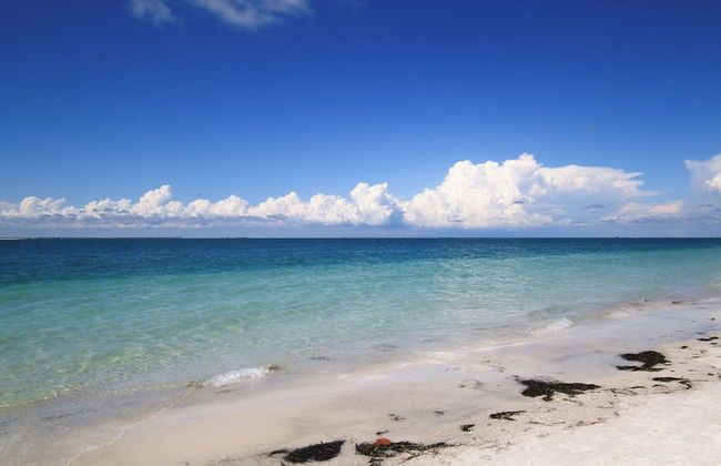 Sunshine Siesta - Hosted By SkyRun Anna Maria - Foto 67