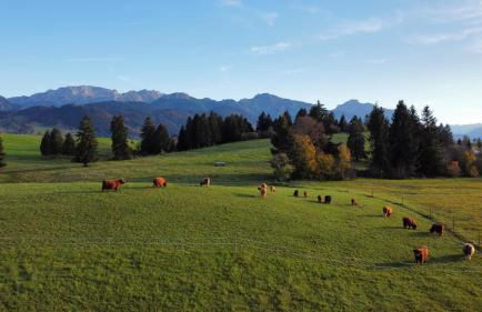 Ferienhof beim Bohlar - Geiselstein - Foto 21