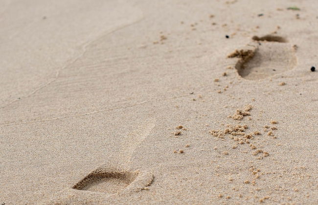 Stephan's R&R Resort - Foto 9