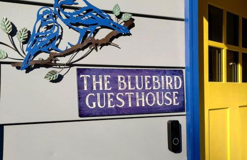The Bluebird Guesthouse *walk to downtown* - Photo 1
