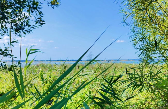 4 Person Holiday Home in Jaegerspris - Foto 12