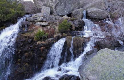 Los Trashumantes - Foto 19