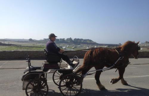 Gite ty hent houarn - Foto 33