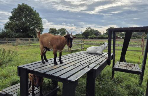 Villa Fleurie - Foto 3