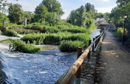 Aromas del Jiloca, Tierra de Trufas - Foto 31