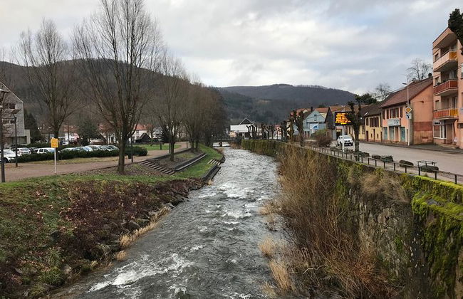 Vehículo de transporte privado con conductor Estrasburgo <=> Erstein - Foto 6