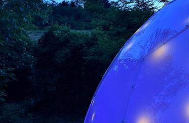 Verdmont 1926 - Foto 61