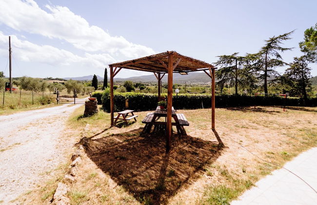 Agriturismo Giù al Pozzo - Foto 79