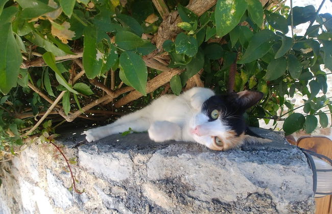 Villa Laina - Foto 27