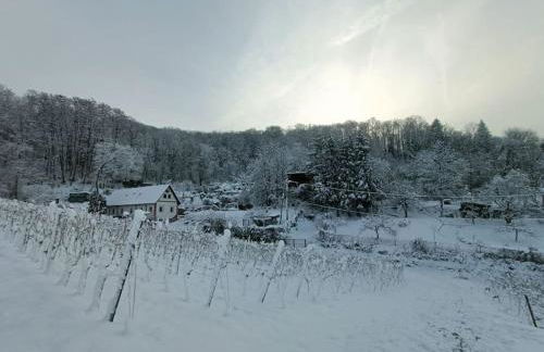 Direkt am Wald mit Panoramablick bis zur Pfalz - Foto 19