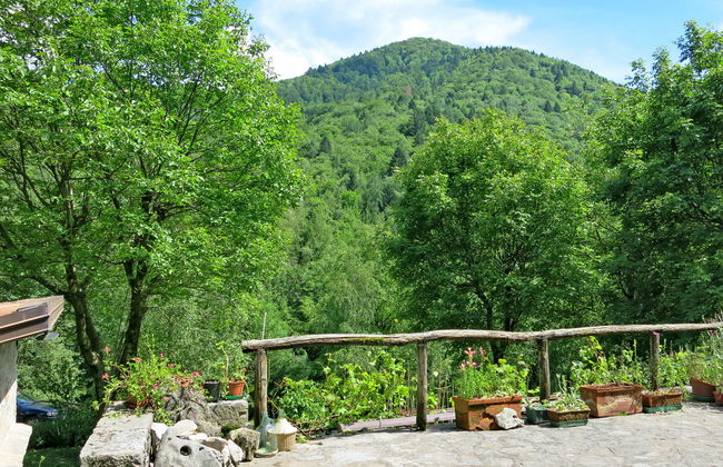 Casa Polava - Foto 3