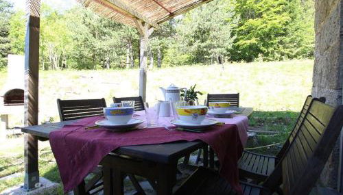 Gîte Nature au Chambon-sur-Lignon: Terrasse, Wifi, Proche Activités et Commerces - FR-1-582-137 - Foto 2