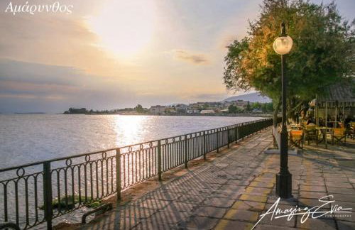 Seaside Villa AndroNikos (Evia Island) - Foto 49