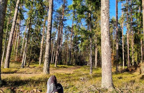 Mazurska Zatoka Resort & Spa - Apartamenty nad jeziorem z prywatną plażą i podgrzewanym basenem zewnętrznym, Mazury w rytmie SLOW - Foto 80