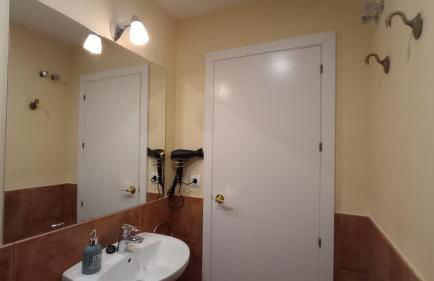 El laurel y el limonero. - Foto 23