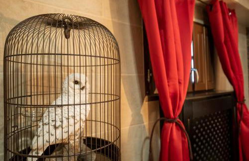 Le Refuge du Sorcier - Enigme & Magie - Libourne - Foto 8