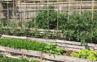 Villa Annetta - Foto 59