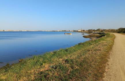 RiaEncontros- Villa T4 junto Ria e Pinhal - Foto 63