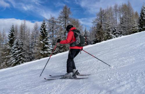 Soggiorno Bellin - Foto 40